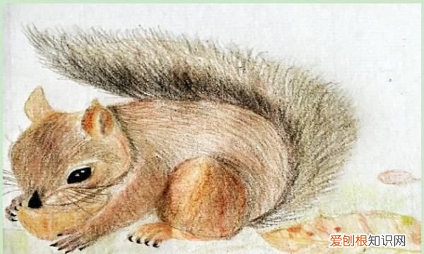 qq红包松鼠怎么画,小松鼠怎么画简单又可爱