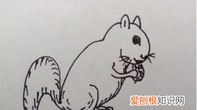 qq红包松鼠怎么画,小松鼠怎么画简单又可爱