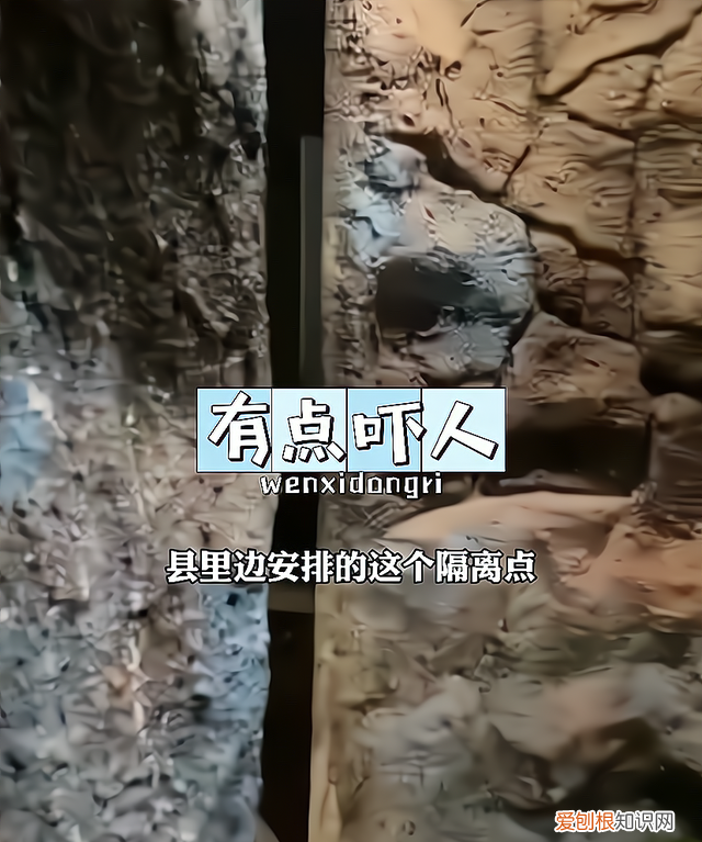 女子返乡回家被隔离到8888豪华套房,高兴坏了一直笑