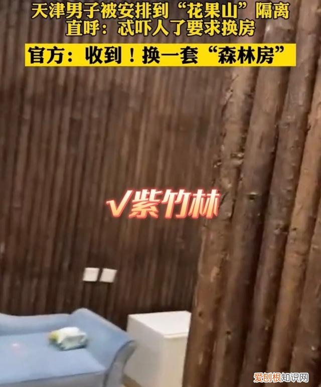 女子返乡回家被隔离到8888豪华套房,高兴坏了一直笑