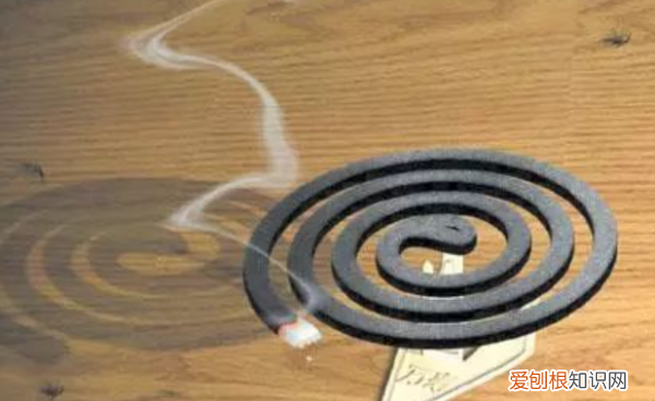 灭小黑飞的最有效药物，兰花盆里小黑飞怎么杀彻底