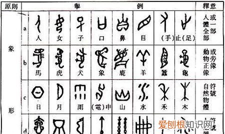 什么是象形字,会意字和象形字有什么区别