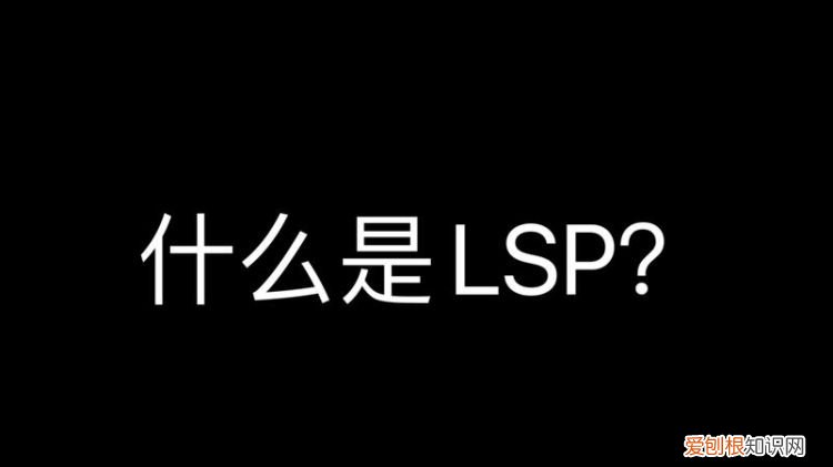 lsp是什么意思啊,lsp是什么意思下载魔兽世界加速器时