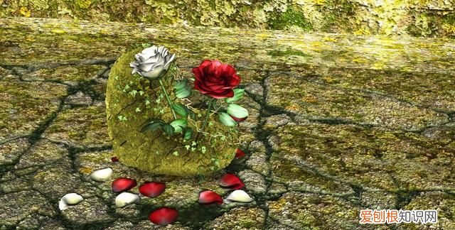 什么是文化，什么是艺术