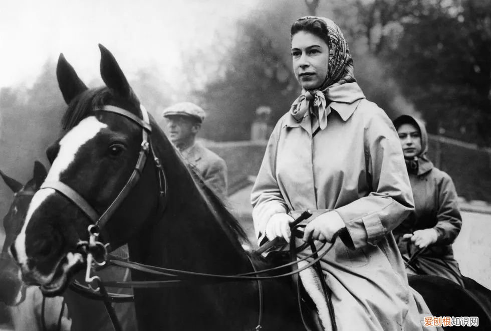 爱马仕丝巾图案大全