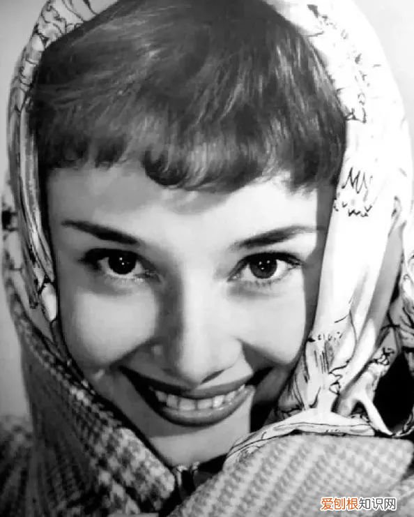 爱马仕丝巾图案大全