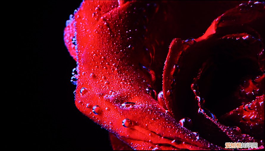 tcl液晶电视好不好