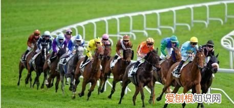 马作的卢飞快的卢指的是什么