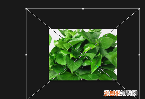 ps能怎样拉伸局部不变形,ps如何局部拉伸某个部位的图片