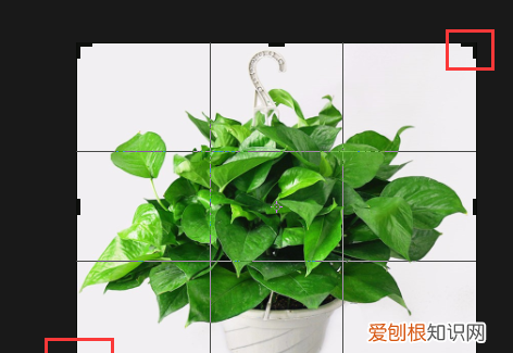 ps能怎样拉伸局部不变形,ps如何局部拉伸某个部位的图片