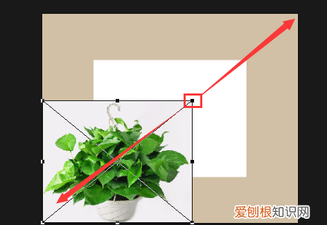 ps能怎样拉伸局部不变形,ps如何局部拉伸某个部位的图片