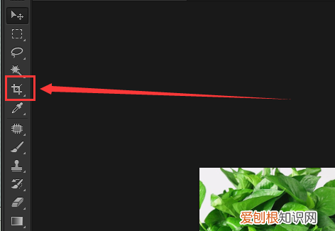 ps能怎样拉伸局部不变形,ps如何局部拉伸某个部位的图片