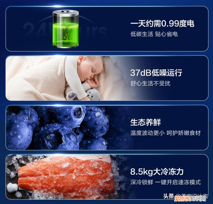 6款性价比高值得入手的冰箱