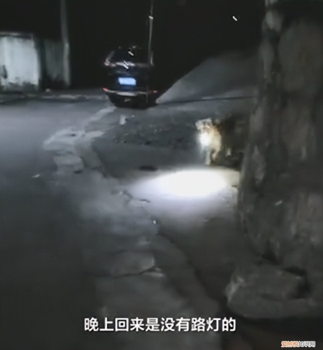 狗子叼手电走夜路接女主人回家，贴心小宝贝