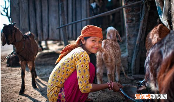 尼泊尔真的是一妻多夫制吗