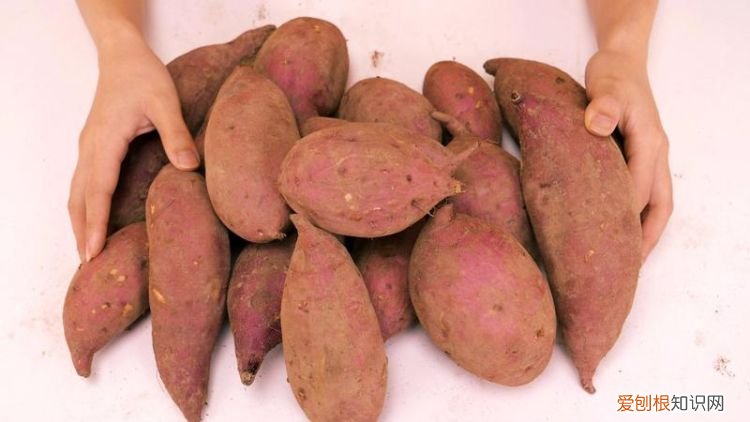如何长时间的保存红薯