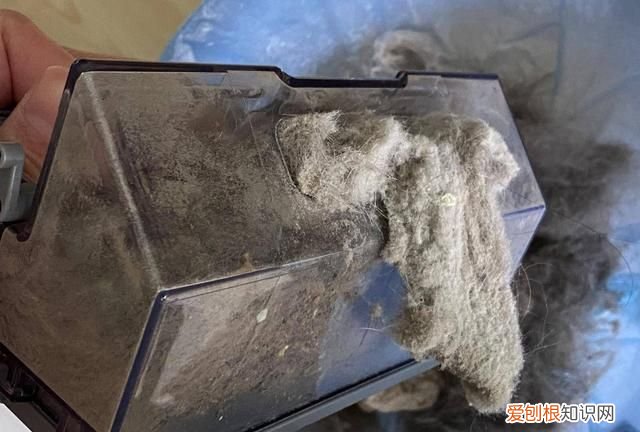 由利扫地机器人怎么清理垃圾,扫地机器人定时清扫功能有用么