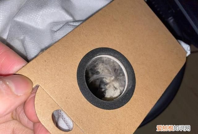 由利扫地机器人怎么清理垃圾,扫地机器人定时清扫功能有用么