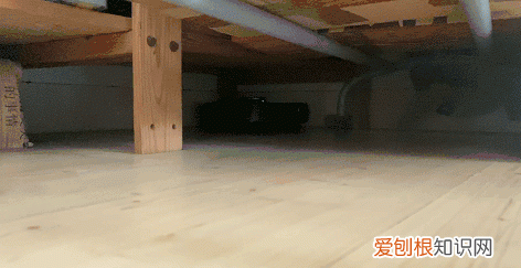 由利扫地机器人怎么清理垃圾,扫地机器人定时清扫功能有用么