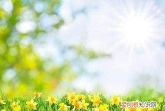 春暖花开的简短句子，云开雾散春暖花开的句子