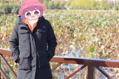 MI 小米 90分 轻量羽绒服怎么样