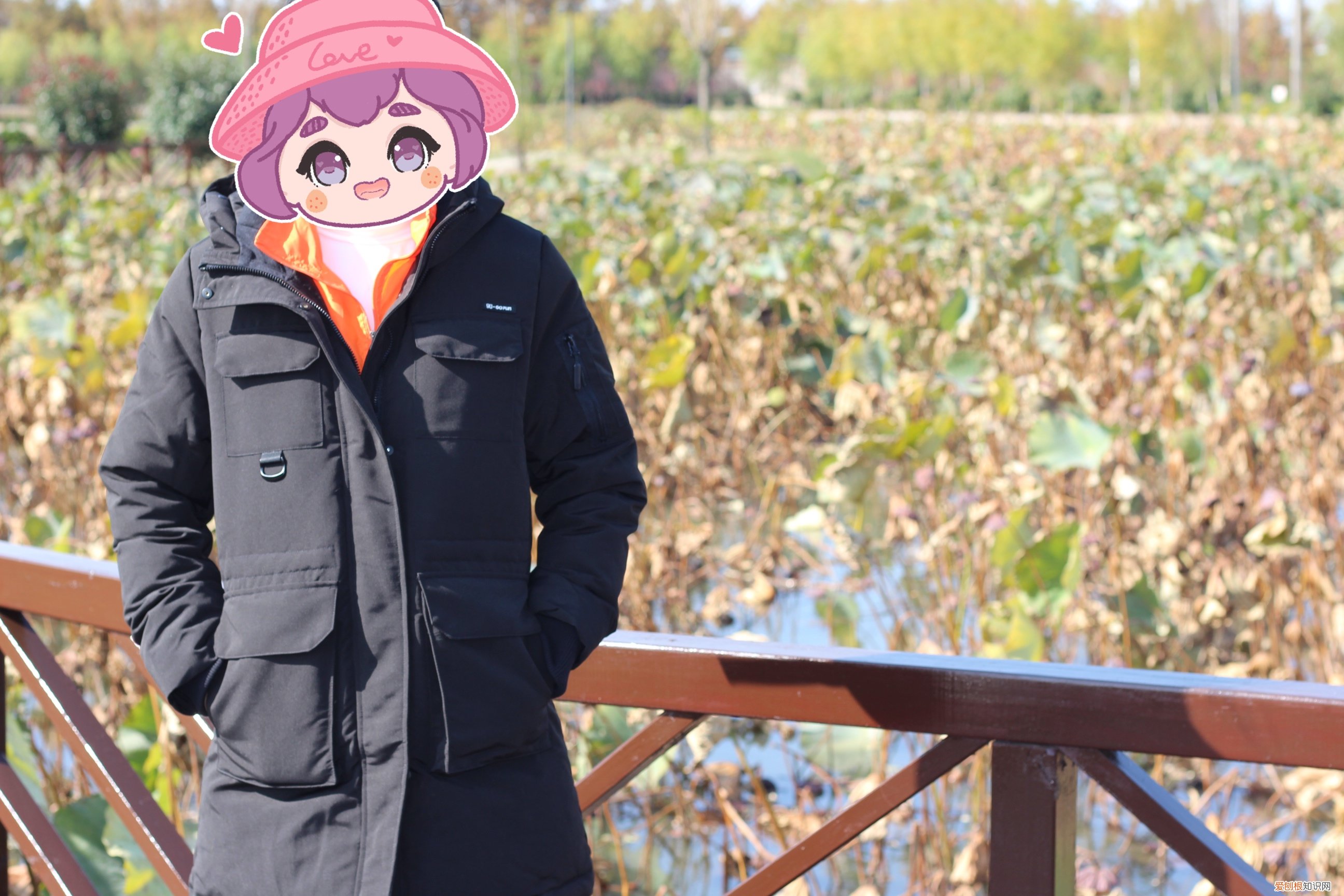 MI 小米 90分 轻量羽绒服怎么样