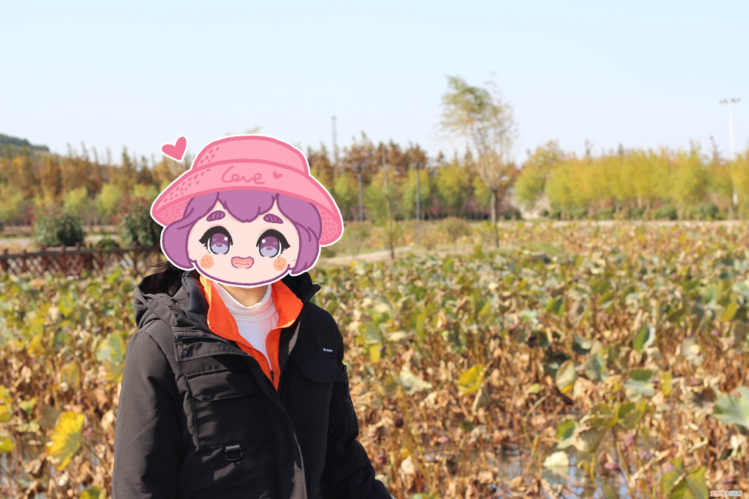 MI 小米 90分 轻量羽绒服怎么样