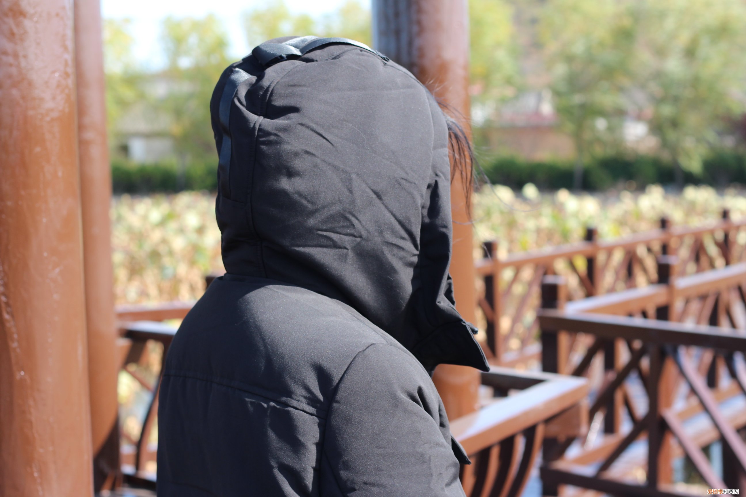 MI 小米 90分 轻量羽绒服怎么样