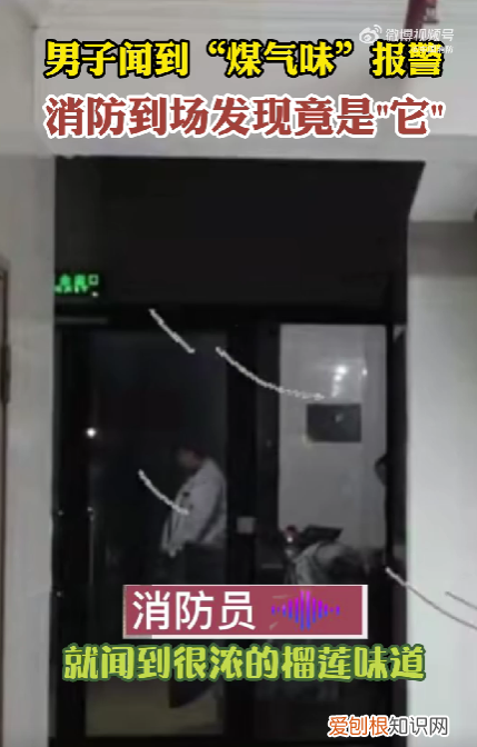 邻居吃榴莲，男子误以为煤气泄漏报火警