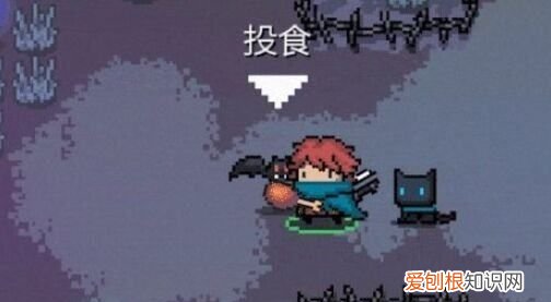 元?dú)怛T士熊孩子怎么使用，元?dú)怛T士寵物布拉尼怎么解鎖