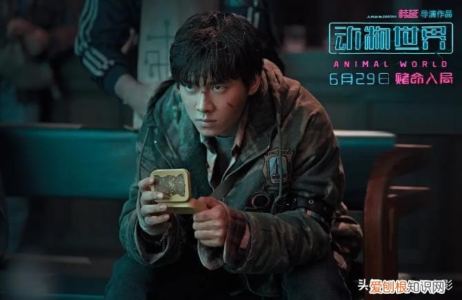 推薦十部關(guān)于殺人游戲的電影(毫不遜色《魷魚(yú)游戲》)