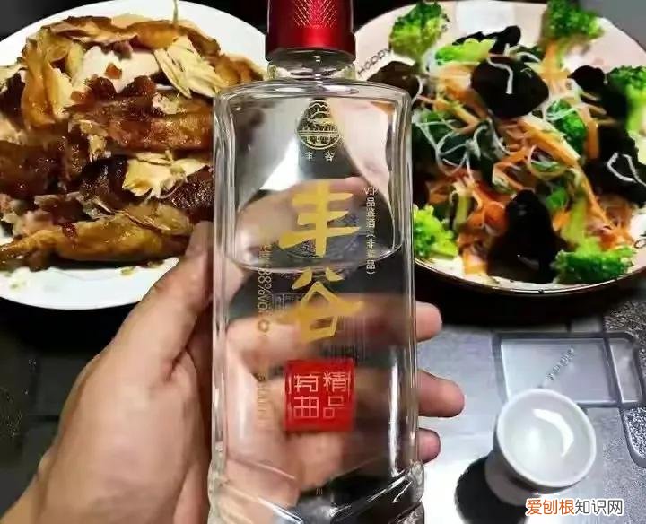 純糧酒有哪些品牌