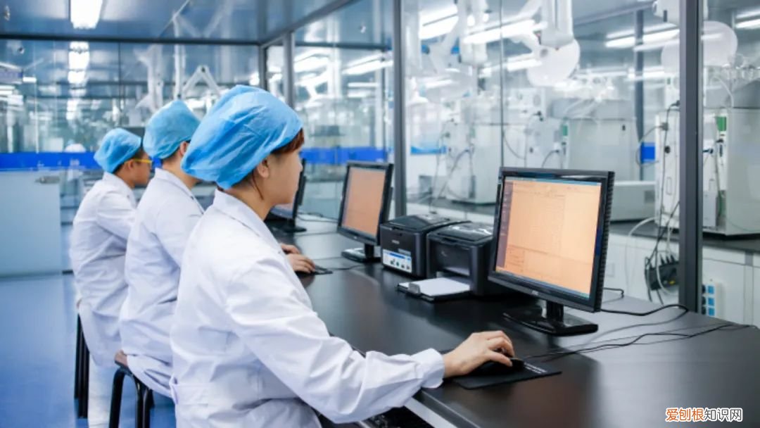 龍王豆?jié){怎么樣