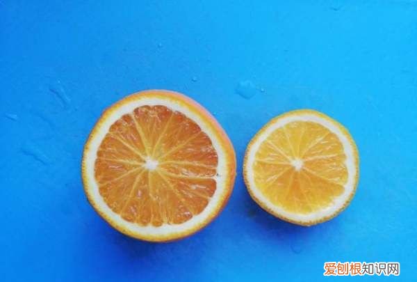 橙子蒸雞蛋的做法，橙子蒸蛋有什么功效