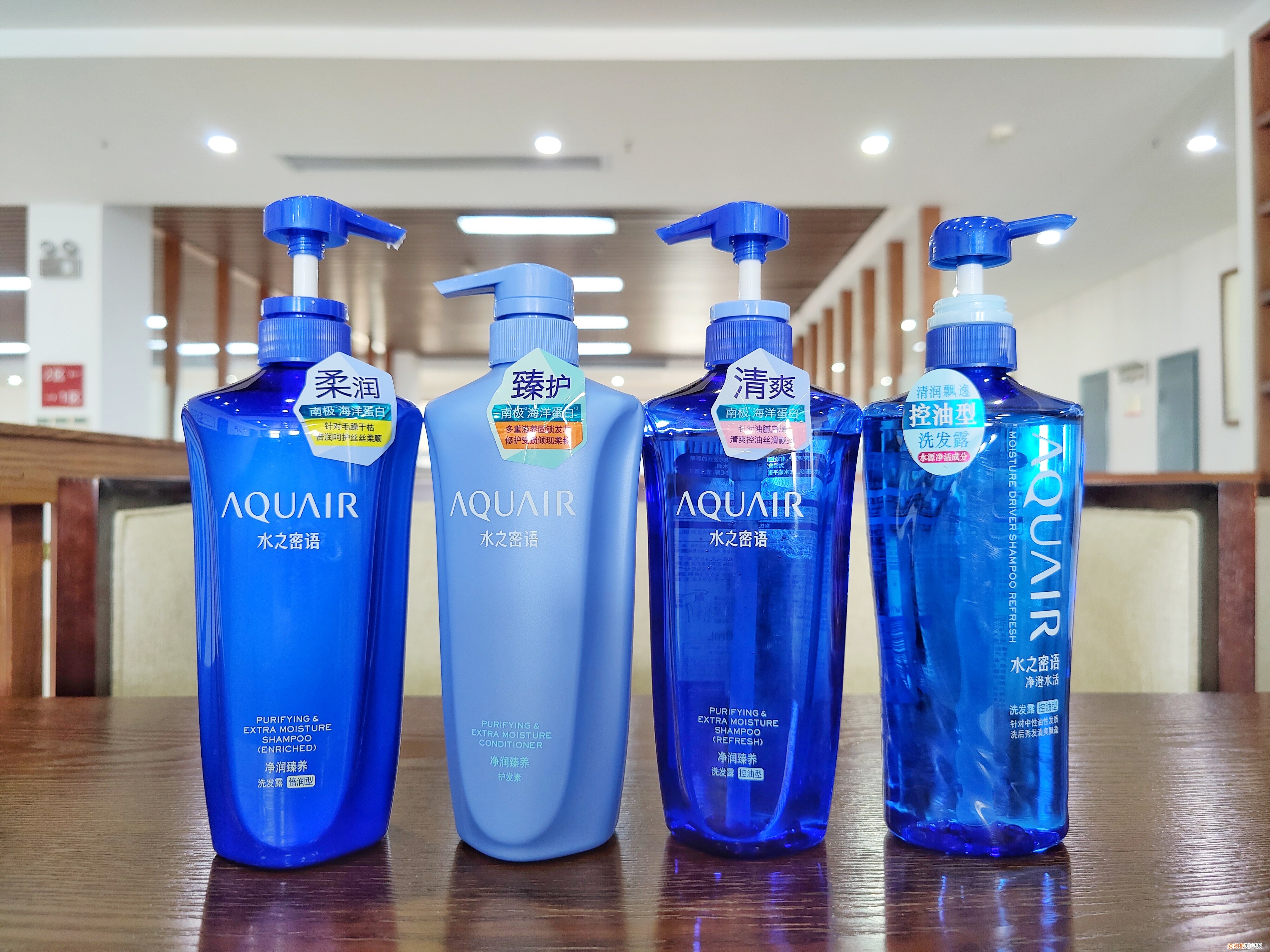 資生堂洗發(fā)水怎么樣