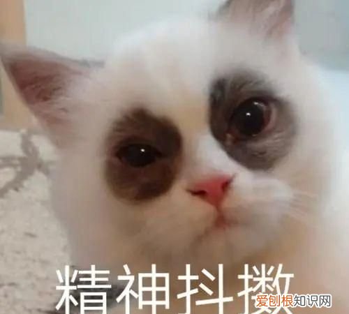 黑眼圈門診開診1年一號(hào)難求