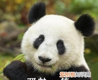 黑眼圈門診開診1年一號(hào)難求