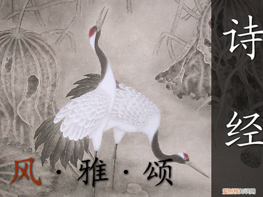 四書五經(jīng)都有什么書