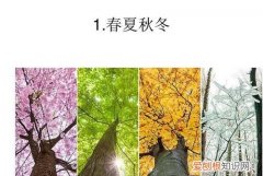 四季怎么來的，春夏秋冬怎么形成的