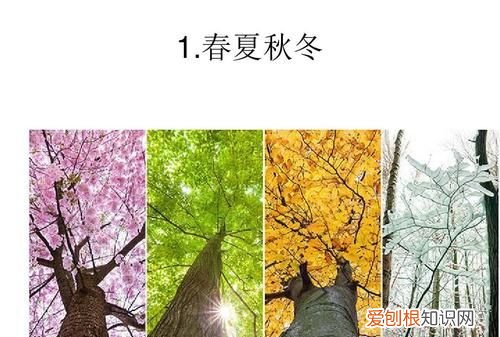 四季怎么來的，春夏秋冬怎么形成的