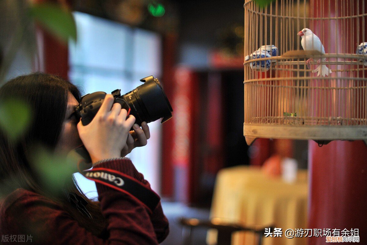 試睡員招聘條件