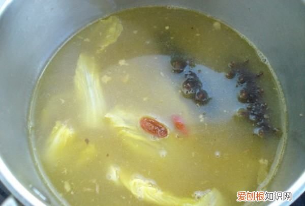 海參燉雞的做法，海參可以燉雞吃嗎