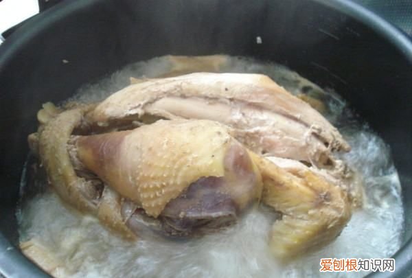 海參燉雞的做法，海參可以燉雞吃嗎