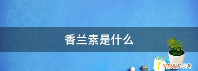 香蘭素是什么東西