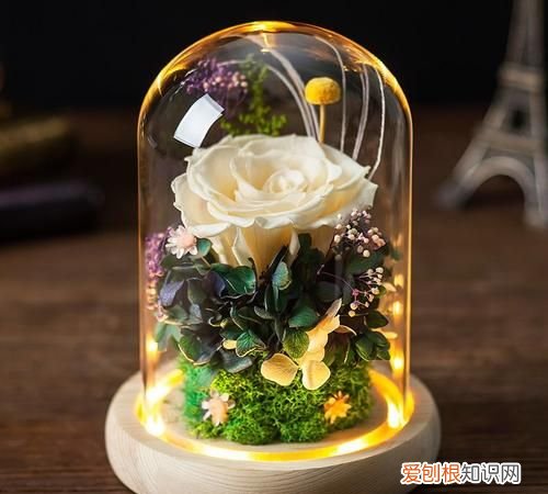 送老婆什么生日礼物，给老婆送什么生日礼物好