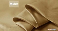 香檳色是什么顏色，香檳棕色是什么顏色