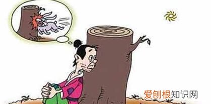 守株待兔告訴我們什么道理