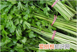 4月應(yīng)季蔬菜都有什么，三四月份的應(yīng)季蔬菜有哪些