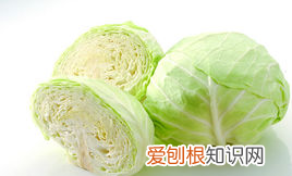 4月應(yīng)季蔬菜都有什么，三四月份的應(yīng)季蔬菜有哪些