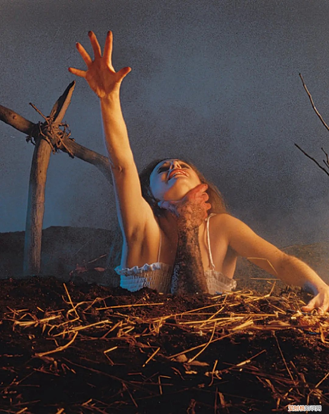 美国丧尸电影排行前十